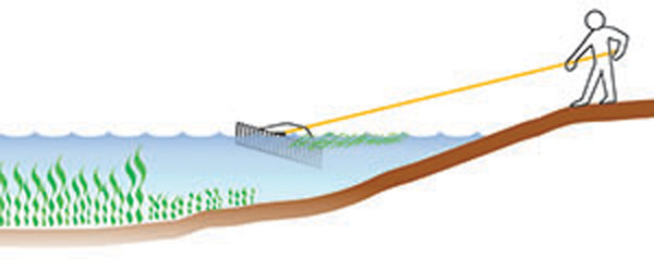 Jenlis Weed Raker Sinking Into Pond